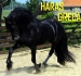 Haras Greca