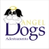 Angel Dogs Adestramento de Ces