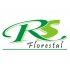 RS Florestal  
