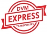 DVM EXPRESS TRANSPORTES