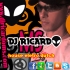 DJ RICARDO MS