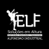 ELF Soluções em Altura LTDA (Alpinismo e pintura predial)