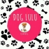 Canil Dog Lulu
