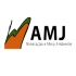 AMJ Consultoria em Mineração