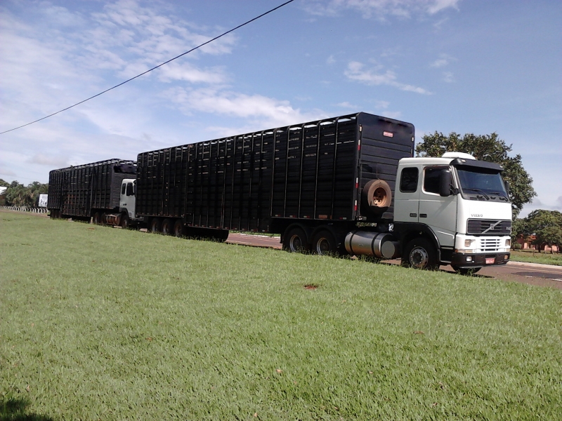 Passos e Barbosa Transportes de Bovinos