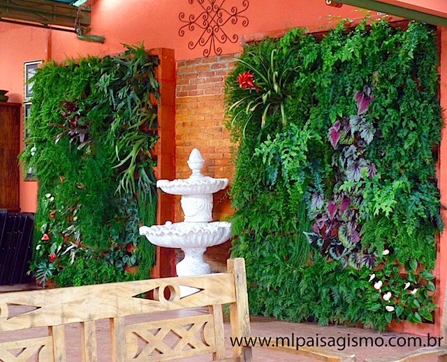 Decorações com plantas