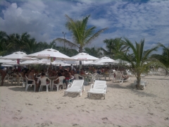Foto 13 barracas de praia no Maranhão - Barraca do Henrique - Praia do Calhau-sÃo Luis-ma