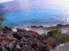 Dive Sul em Bonaire 2011