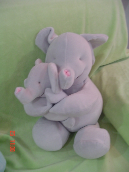 Elefante com filhote 