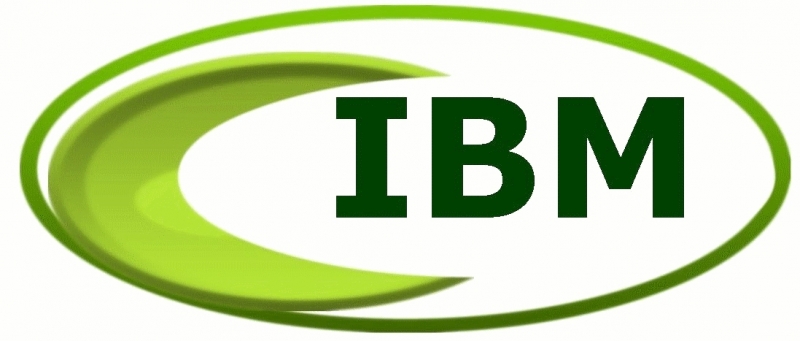 logo ibm 