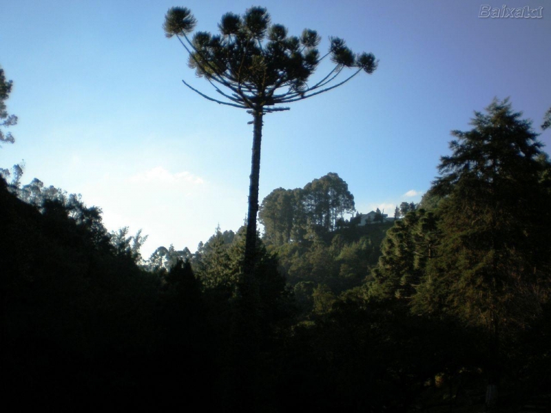 Campos do Jordão