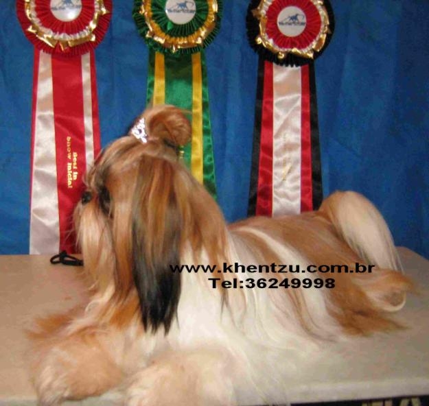 khentzu kennel