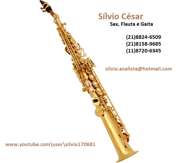 Saxofonista para Eventos