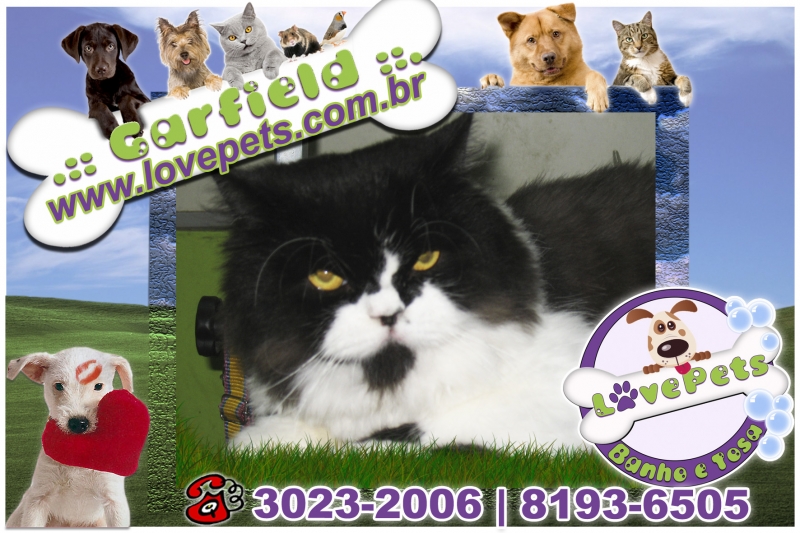 Love Pets Pet Shop Banho e Tosa Rio Claro