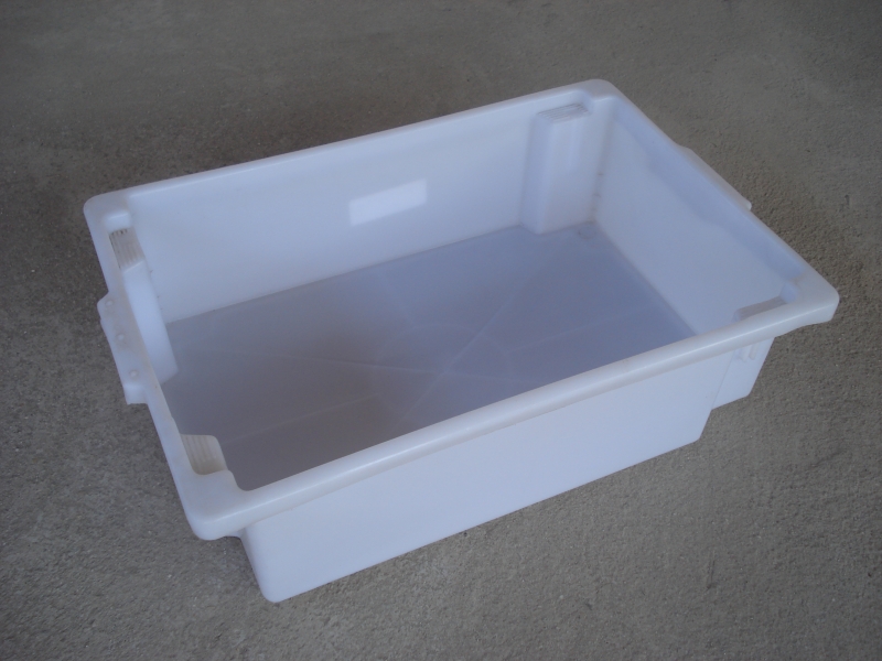 Caixas de plastico para frigorifico / pescado