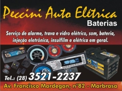 Foto 35 informática no Espírito Santo - Peccini Auto Elétrica