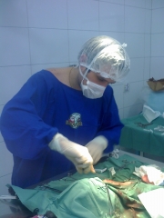 Centro cirurgico