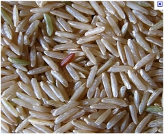 Foto 6 beneficiamento do arroz - Usina de Beneficiamento São José