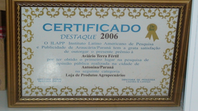 Certificado 2006