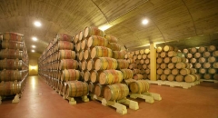Foto 3 adegas no Minas Gerais - Metier Adegas Para Vinho