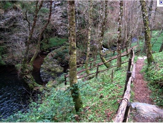 GardenBrasilsul ciência ambiental