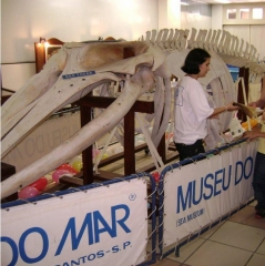 Museu do Mar São Paulo - Santos - Rua Republica do Equador, 81 - Foto 2