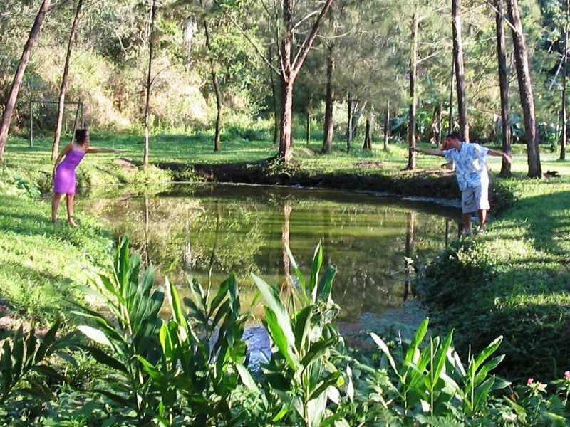 LAGO PARA PESCAR NA POUSADA COLINA VERDE