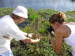 Foto 2 biólogos no Rio Grande do Sul - Talha-mar - Soluções Ambientais