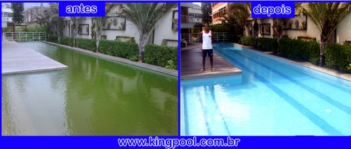 kingpool serviços para piscina