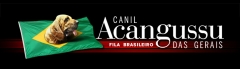 Canil acangussu das gerais - fila brasileiro