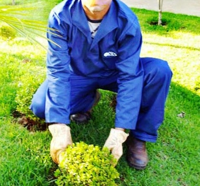 Uniforme manga longa para jardinagem e paisagismo