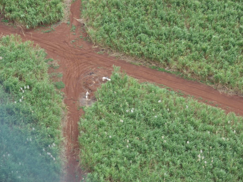 AERO FAZENDAS - IMAGENS AREAS PARA PROPRIEDADES RURAIS