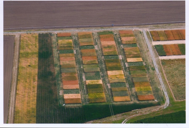 AERO FAZENDAS - IMAGENS AREAS PARA PROPRIEDADES RURAIS