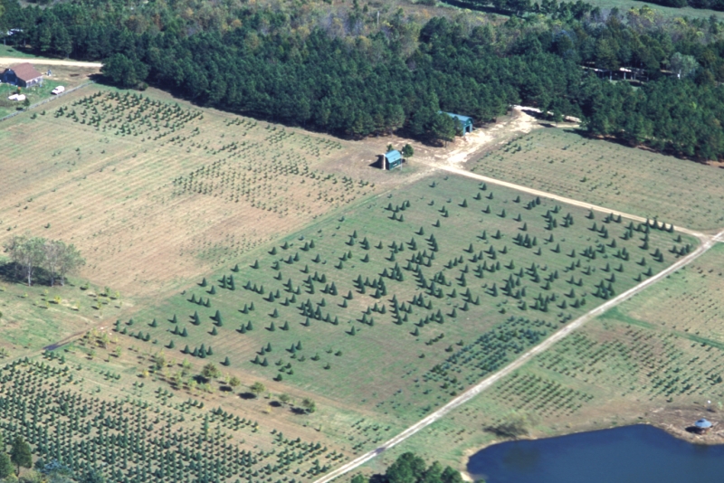 AERO FAZENDAS - IMAGENS AREAS PARA PROPRIEDADES RURAIS