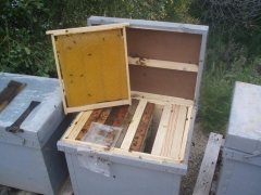 Casa do apicultor de campinas, voc merece o que h de melhor