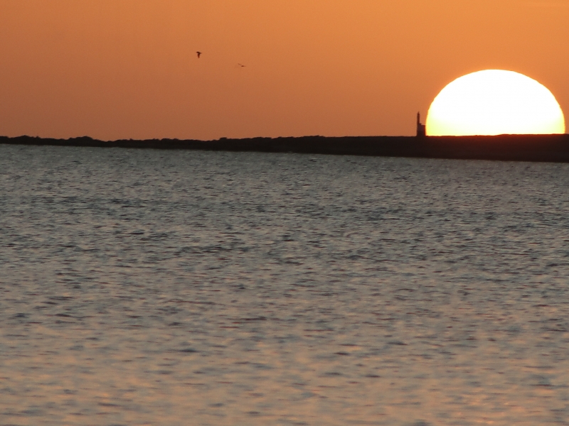 O Sol nasce para todos, mas poucos sabem conquistalo! Bill