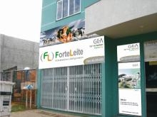 Forteleite