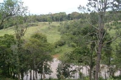 Sitios em venda