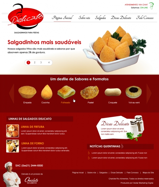 Criao de layout para o novo site da Delicato Salgados.