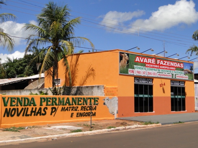 Avaré Fazendas - Escritório Agropecuário - Bataguassu - MS