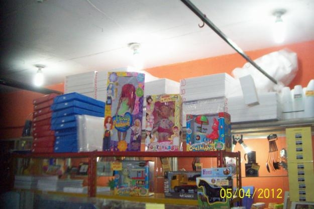 Na foto: Brinquedos e placas de isopor para trabalhos escolares