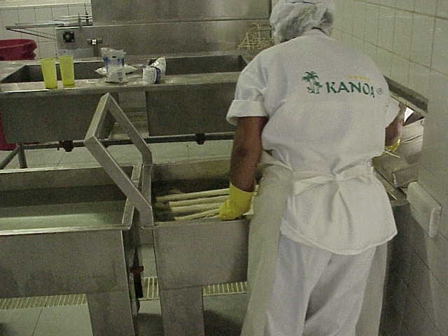 KANOA Industrias Alimenticias Ltda