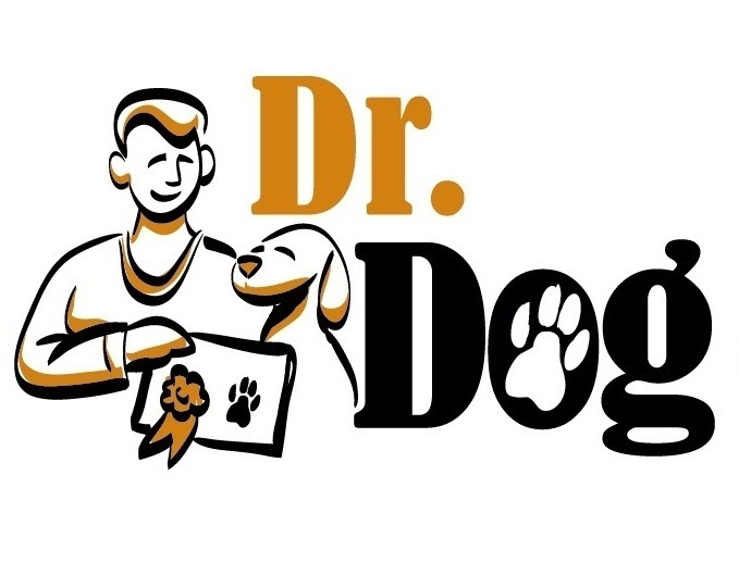 Dr Dog