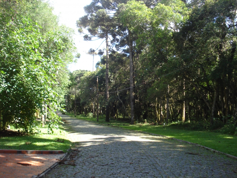 Rua interna do Residencial O Recanto II - Bosques Residenciais - Piraquara/Pr