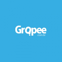 Grapee - agência web sorocaba - foto 3
