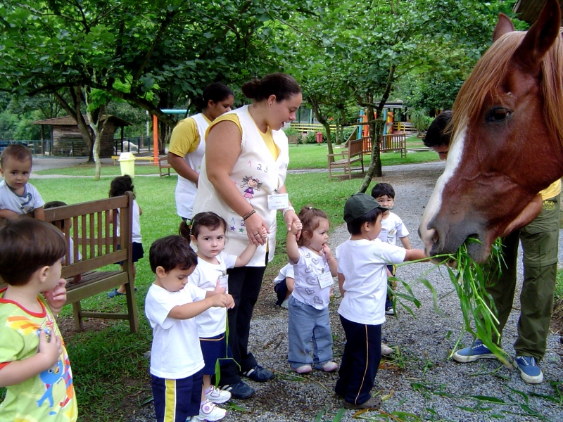 Passeio à Fazendinha