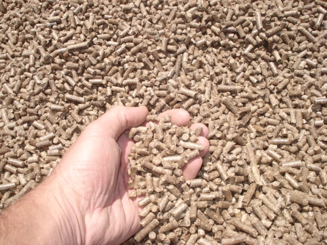 IMAGEM DA AREIA GRANULADA BIODEGRADVEL  GATHIG