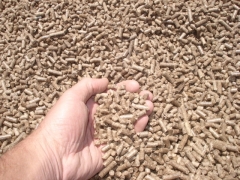 Imagem da areia granulada biodegradável  gathig