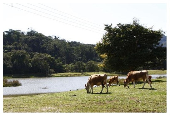 Paisagem da fazenda