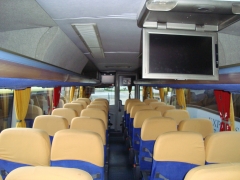 Onibus e microonibus